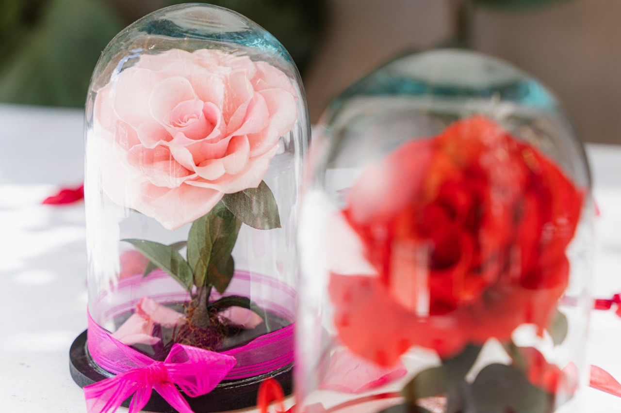 rosa 5