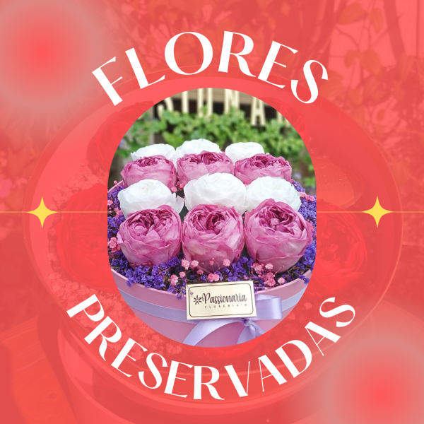 Flores Preservadas