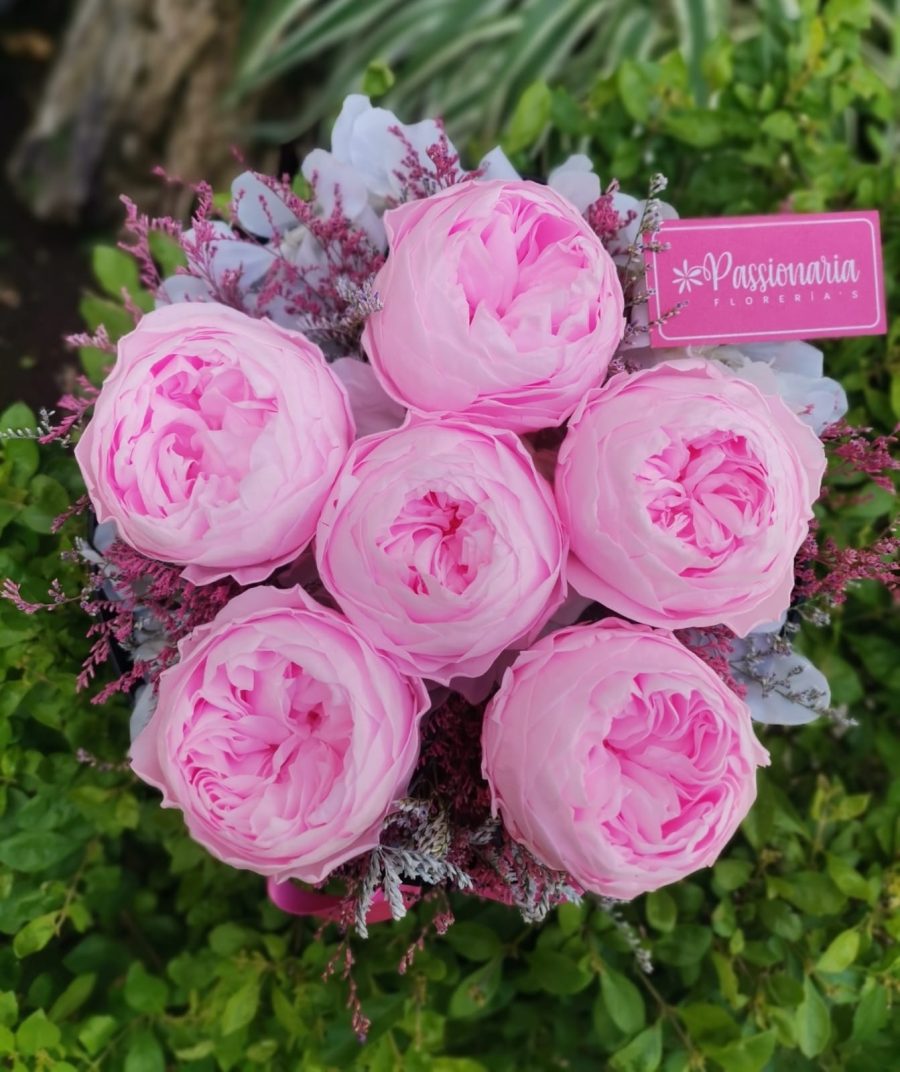 peonias