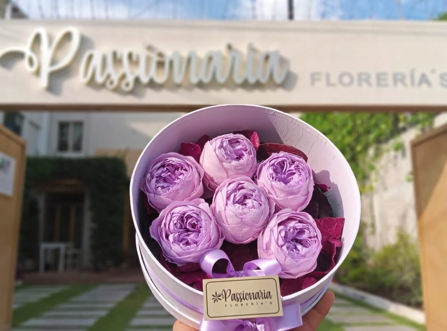 peonias4