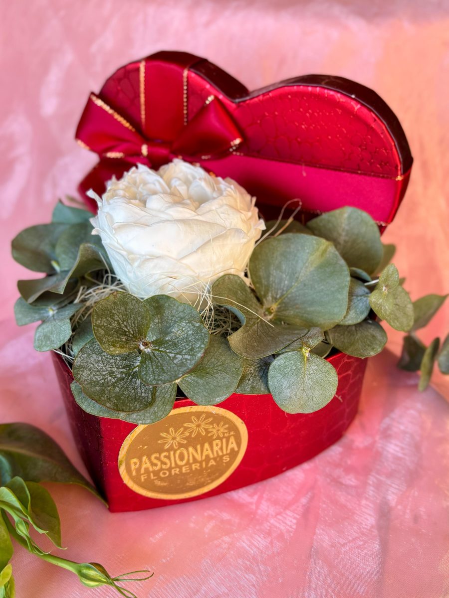 WhatsApp Image 2025-01-30 at 13.41.46